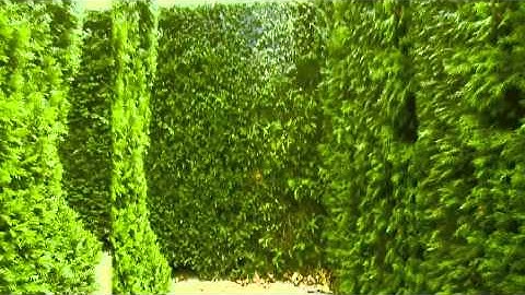 Labyrinth2-22-2011(2)