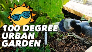 Keeping Your Garden Hydrated In The Heat Tips For Watering In Hot Weather