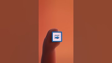 SDGs in Your Hand: Goal 14 - Life Below Water | United Nations