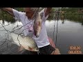 PESCARIA CERTEIRA ENCHI O BARCO DE PEIXE O DIA QUE PEGUEI MAIS PEIXES