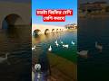 চারটা জিকির বেশি বেশি করবেন #viral #ahmadulla #mufti_m_al_amin_hossain #motivation #youtube #viral