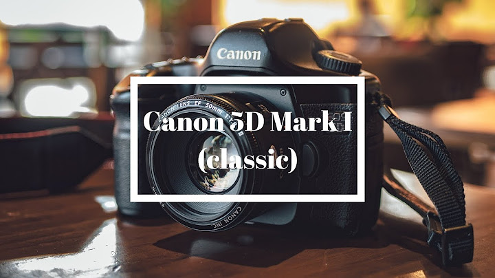 Đánh giá canon 5d mark 1 năm 2024