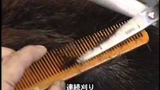 フラット＆コンベックス FCX - YouTube