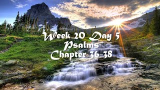 Audio Bible Reading Plan - Week 20 Day 5 (Psalms 36-38)