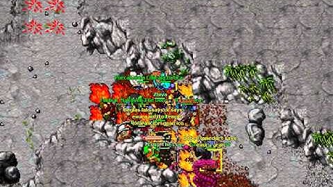 Level 195 killed Dolera Tibia