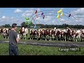 Live Burp Concert in Front of a Herd of Cows Part 2