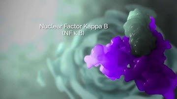 mansanma.com l Visualization of the Toll-like Receptor 4 Signalling Pathway
