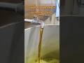 Cold Pressing Rapeseed Oil Process | Automatic Feeding Oil Press Machine #oilpressmachine