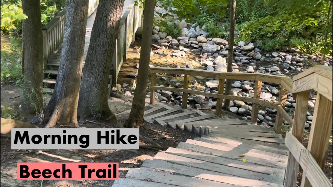 Morning Hike Beech Trail Nature Sounds Woods ASMR 4K