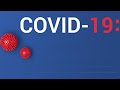 ННОВ-Virtual: Т1: COVID —  вызов для акушерства. Т2: Мониторинг контроля распространения