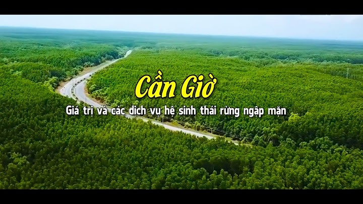 Đánh giá dịch vụ sinh thái rừng ngập mặn năm 2024