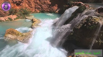 سورة المؤمنون بصوت القارئ الشيخ/ حسام الأجاوي ( إمام مسجد الشرهان/ خزام )