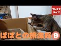 ぽぽとの旅滋賀と岐阜(9)【Popo's Journey Shiga and Gifu (9)】