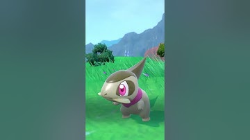 Hunting for Shiny Axew