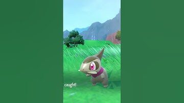 Hunting for Shiny Axew