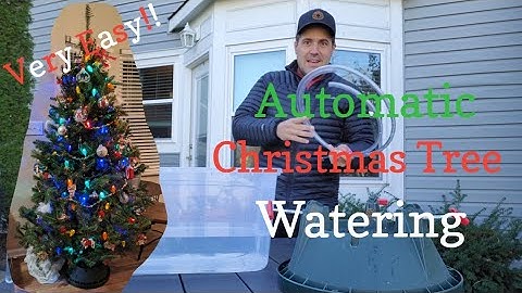 Automatic Christmas Tree Watering System: Keep Tree Alive While You