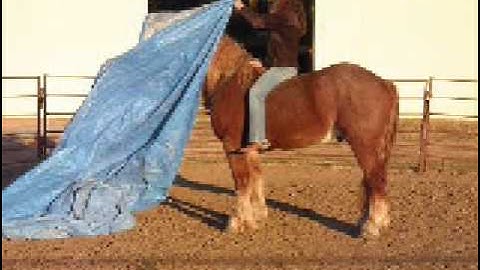 Billy with tarp    ***For up-to-date info, price, etc., go to our website***