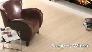 dasso.SWB Collection