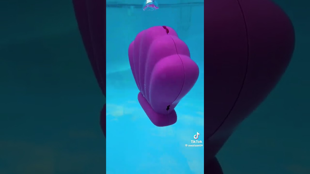 Our favorite pool toy ever!! 