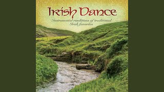 Maid Behind The Bar/Sligo Maid/The Green Mountain (Medley) chords