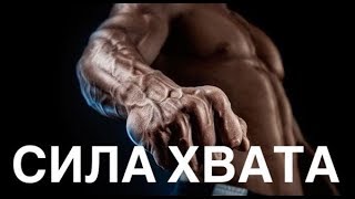 Сила Хвата