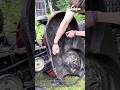 Replacing a lawn mower blade: people changing a blade on a mower