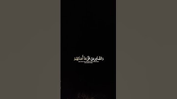 ألا بذكر الله تطمئن القلوب #قرآن #قران_كريم #تلاوة_خاشعة