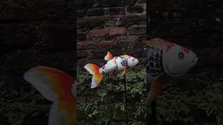 Fish Puppet #puppet #puppets #puppetry #puppettheatre #puppetshow