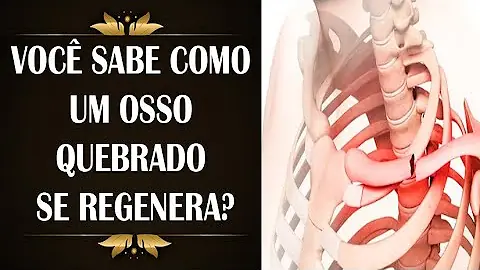 Porque ao fraturar um osso Sente-se muita dor?