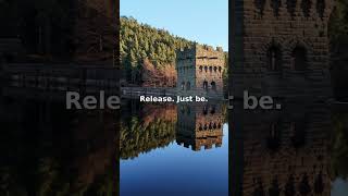 Release. Just be. | Zen Yoga Music #Shorts