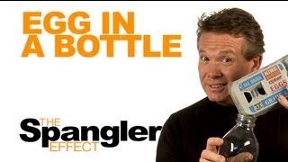 The Spangler Effect  Egg in a Bottle Season 01 Episode 24