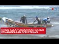 Krisis kelangkaan ikan akibat penangkapan berlebihan