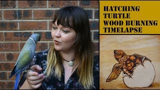 Hatching turtle time-lapse Pyrography (wood burning)