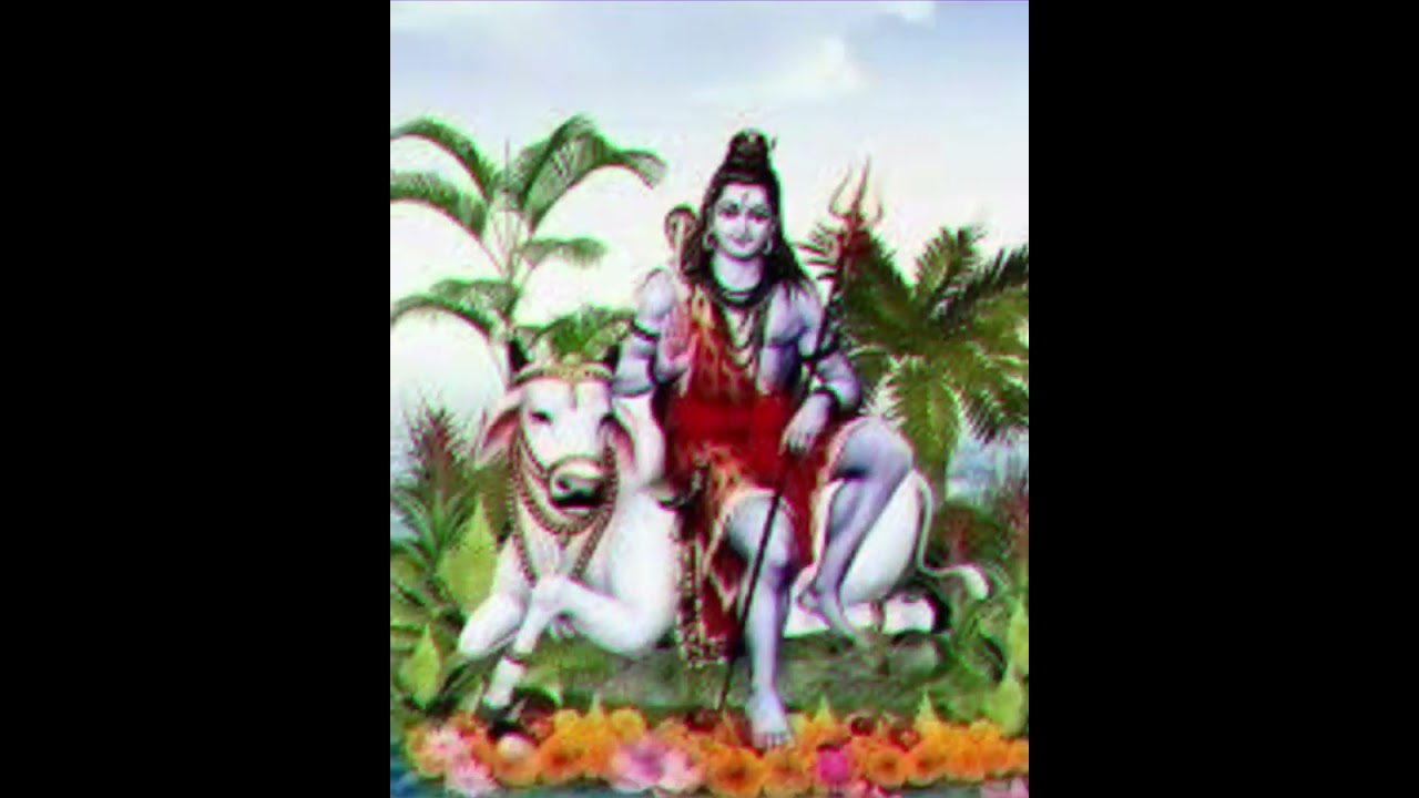 🥰Shiv bhole Status | Bhagwan Hai Kaha Re Tu🔥 | Trending Short🙏