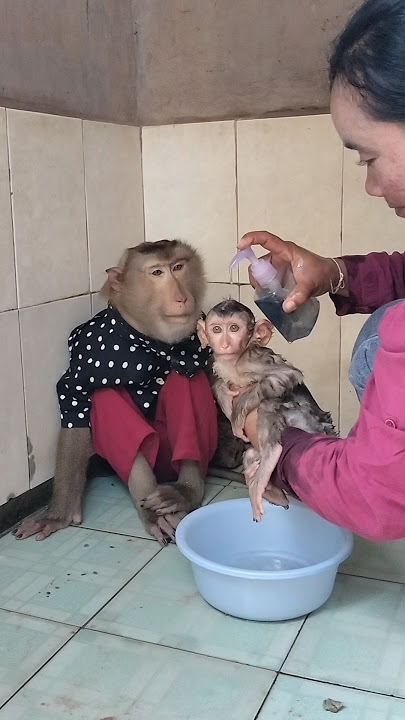 Great Video of SokYaa,ToTo , Phao And Sokhaa are HARMONY And Fun Will MAKE YOU SMILE