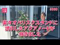 #580 楽々オベリスクスタンドに誘引したアクアノートが咲きました