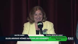 ULUSLARARASI KÜMES HAYVANLARI KONGRESİ | SEKTÖR HABER