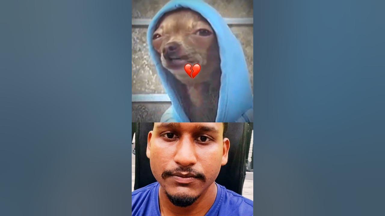 weird-alien-dog-dog-alien-shorts-youtube