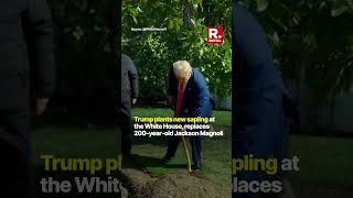 Trump Plants ‘MAGAlonia’ at White House, Replaces 200-Year-Old Jackson Magnolia for Safety Reasons