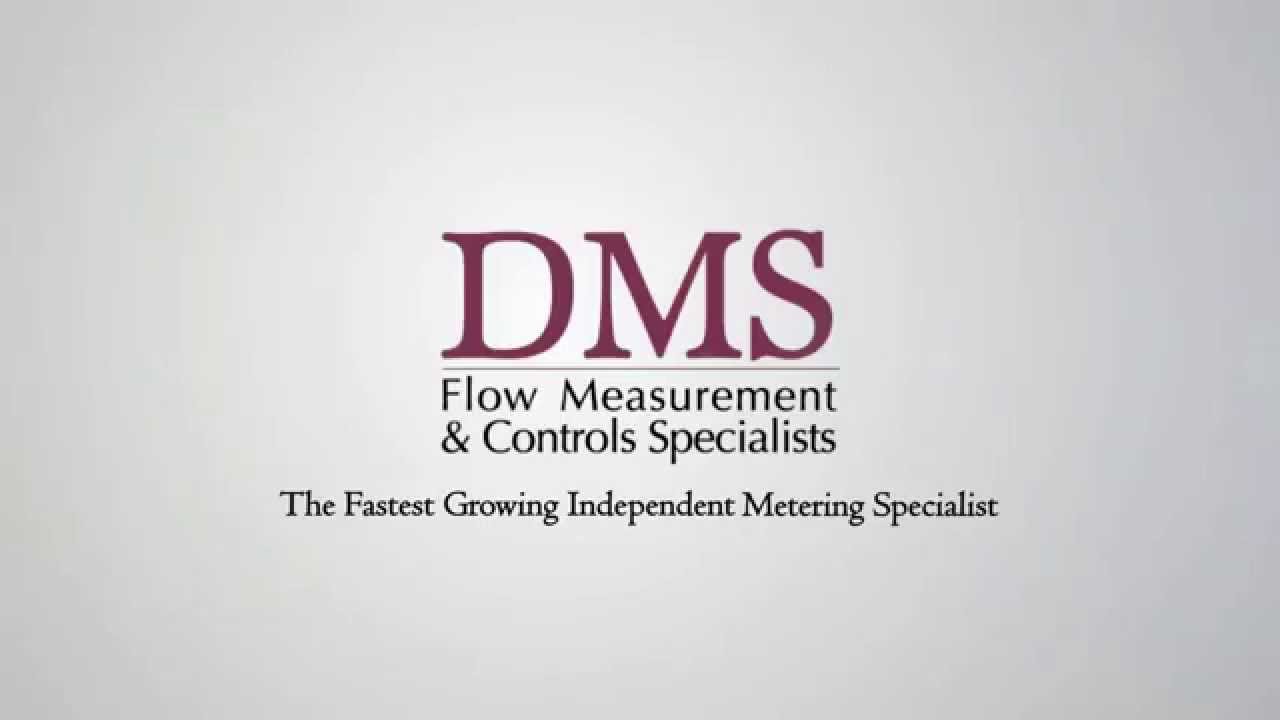 Helix 4000 Water Meter from DMS