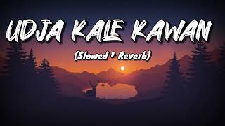 Udja Kale Kawan (Slowed + Reverb) | Gadar | Victory | Lofi Song | NYK Music Production screenshot 5