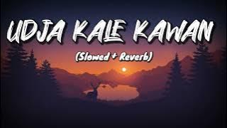 Udja Kale Kawan (Slowed   Reverb) | Gadar | Victory | Lofi Song | NYK Music Production