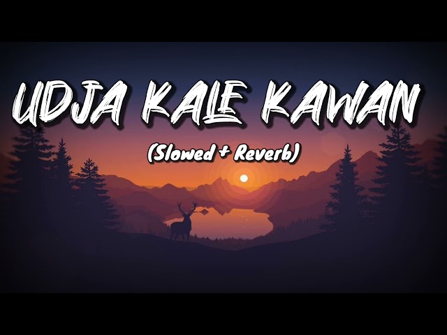 Udja Kale Kawan (Slowed + Reverb) | Gadar | Victory | Lofi Song | NYK Music Production class=