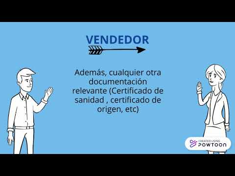 INCOTERMS 2020: CIP Y CIF VAT number vs CIF: Diferencias y cómo obtenerlo