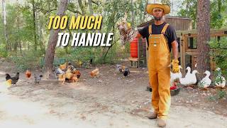 Homesteaders Are Giving Up On Their Raw Land | 10 Reasons Why People Choose Not To Homestead | Ep 70