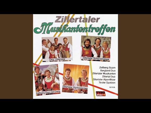 Zillertal Duo - In der Sennhüttn