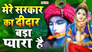 Mere Sarkar Ka Didar Bada Pyara Hai || Latest Devotional bhajan 2016 || Shree Dheeraj Bawra