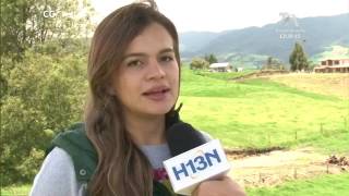 Quesocrema Saborizado, Novedoso Producto De San Pedro De Los Milagros