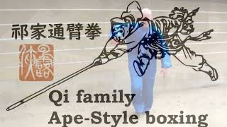 Qi Family's Ape-style Boxing (Qijia tongbiquan 祁家通臂拳)
