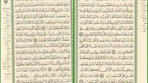صفحة رقم 41,42 من سورة البقرة مكررة للشيخ مشاري العفاسي